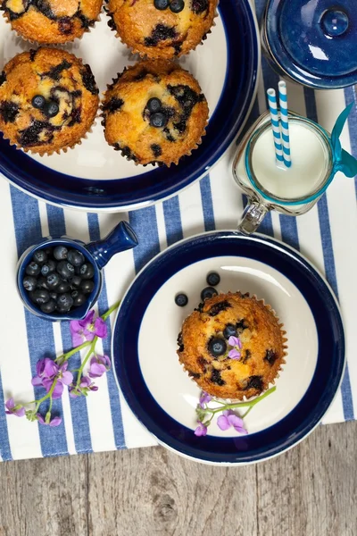 Läckra hembakade blueberry muffins — Stockfoto