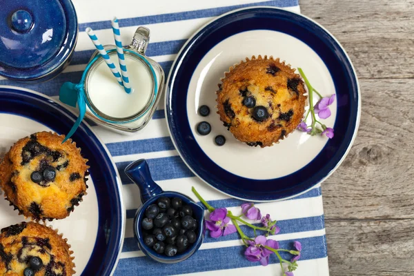 Lahodné domácí borůvkové muffiny — Stock fotografie