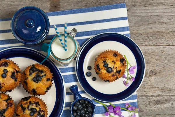 Läckra hembakade blueberry muffins — Stockfoto