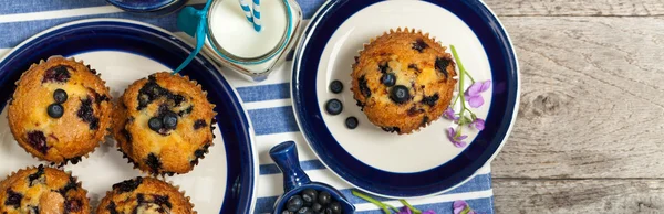 Heerlijke zelfgemaakte blueberry muffins — Stockfoto