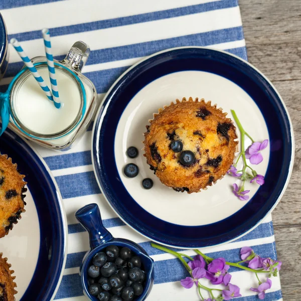 Läckra hembakade blueberry muffins — Stockfoto