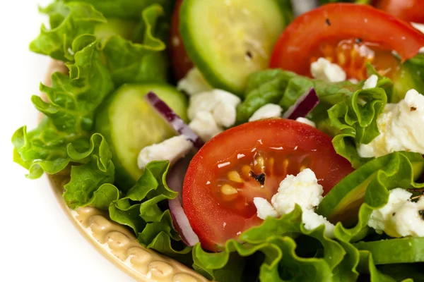 Salada fresca com tomates e pepinos — Fotografia de Stock