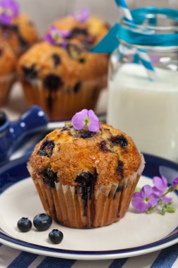 ev yapımı blueberry muffins