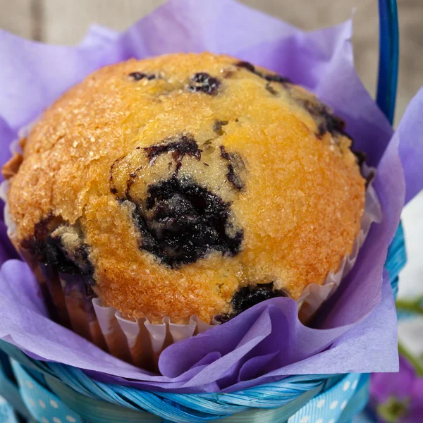 Muffins de mirtilo caseiros — Fotografia de Stock