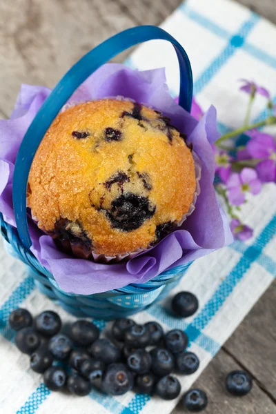 Muffin ai mirtilli fatti in casa — Foto Stock