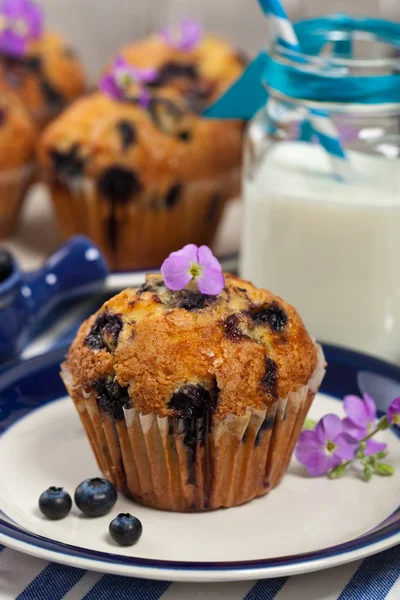 Muffins de mirtilo caseiros — Fotografia de Stock