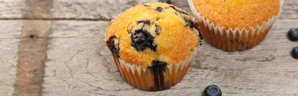 Blåbärsmuffins — Stockfoto