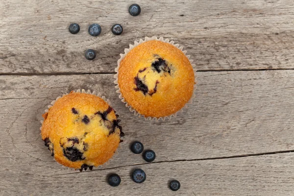 Blåbärsmuffins — Stockfoto