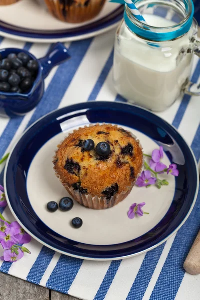 Borůvkové muffiny — Stock fotografie