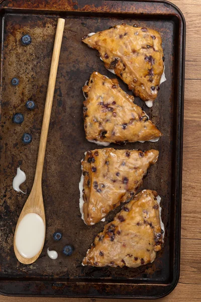 Blueberry Scones — Stock Photo, Image