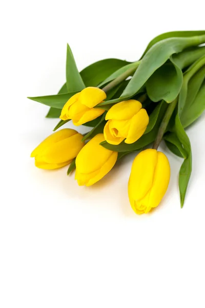 Букет желтых тюльпанов Стоковое Фото