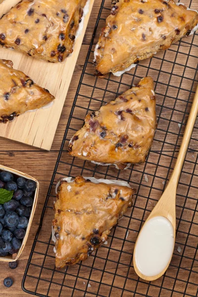 Bollos de pastelería de arándanos — Foto de Stock