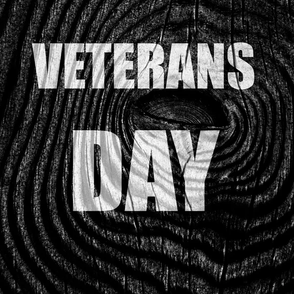 Veterans day background — Stock Photo, Image