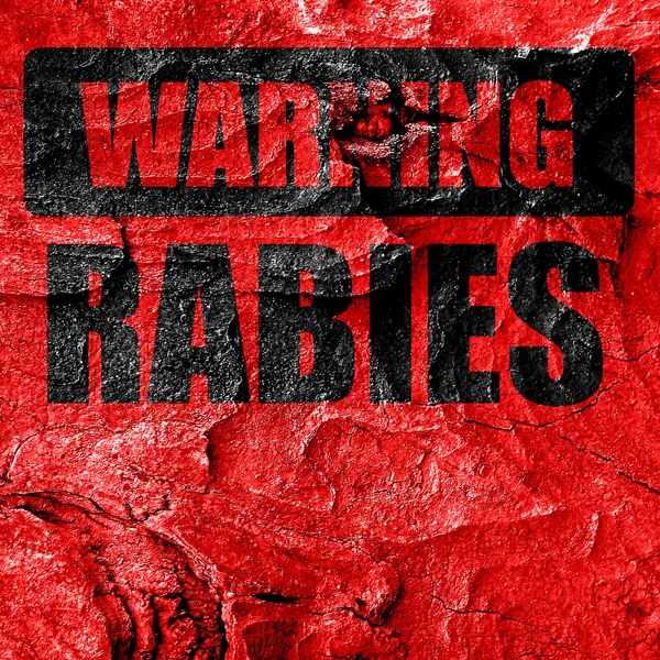 Rabiës virus concept achtergrond — Stockfoto