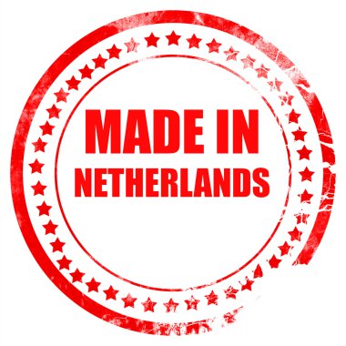 Hollanda'da yapılan