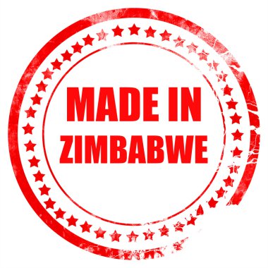 Zimbabve'de yapılan