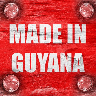 Guyana içinde yapılan