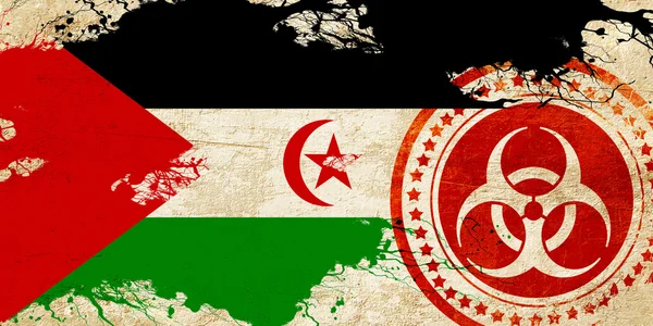Vlajka západní sahara — Stock fotografie