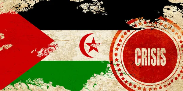 Прапор Західна Сахара — стокове фото