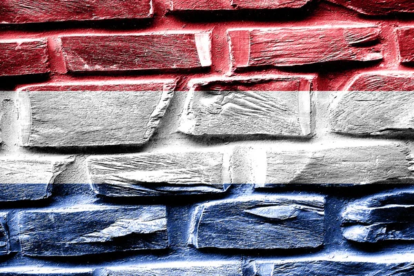 Muro de ladrillo bandera de los Países Bajos con algunas grietas y aspecto vintage — Foto de Stock
