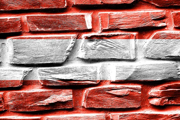 Brick wall Austrian flag with some cracks and vintage look — Stock Photo, Image