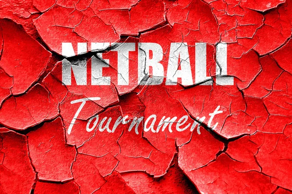 Grunge cracked netball sign background — Stock Photo, Image