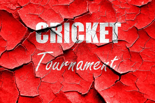 Grunge cracked cricket sign background — Stock Photo, Image