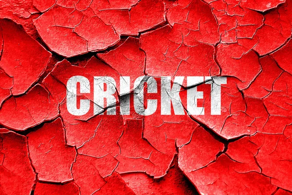 Grunge gebarsten cricket teken achtergrond — Stockfoto