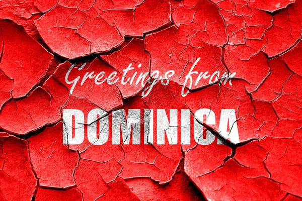 Grunge popraskané pozdravy od Dominika — Stock fotografie