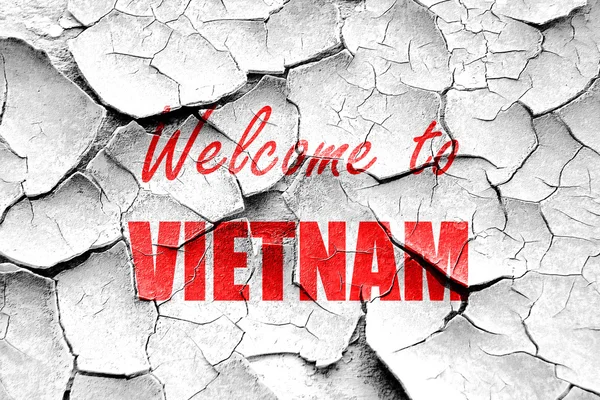 Grunge agrietado Bienvenido a Vietnam —  Fotos de Stock