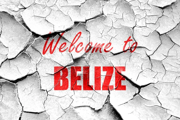 Grunge knäckt Välkommen till belize — Stockfoto