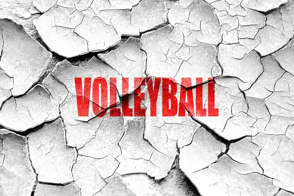 Grunge gebarsten volleybal teken achtergrond — Stockfoto