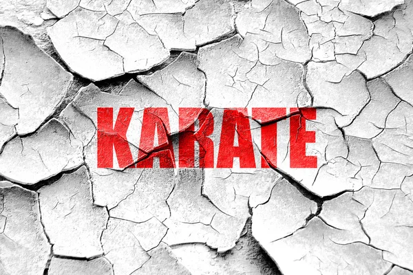 Grunge knäckt karate tecken bakgrund — Stockfoto
