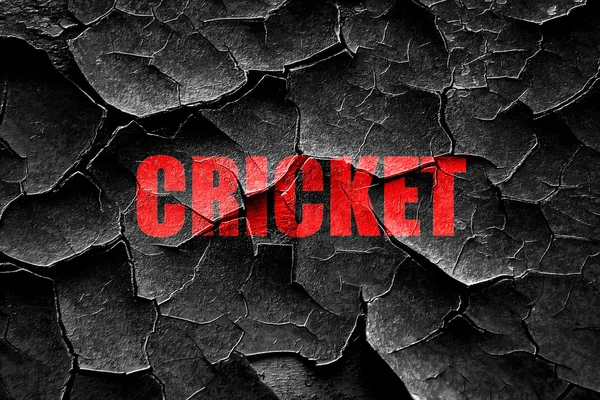 Grunge agrietado cricket signo de fondo — Foto de Stock