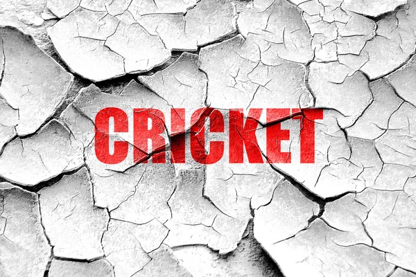 Grunge gebarsten cricket teken achtergrond — Stockfoto