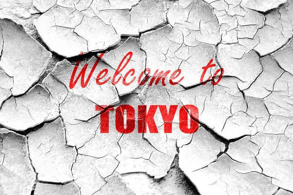 Grunge rachado Bem-vindo ao tokyo — Fotografia de Stock