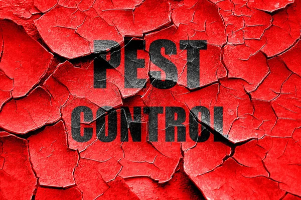 Grunge repedt Pest control háttér — Stock Fotó