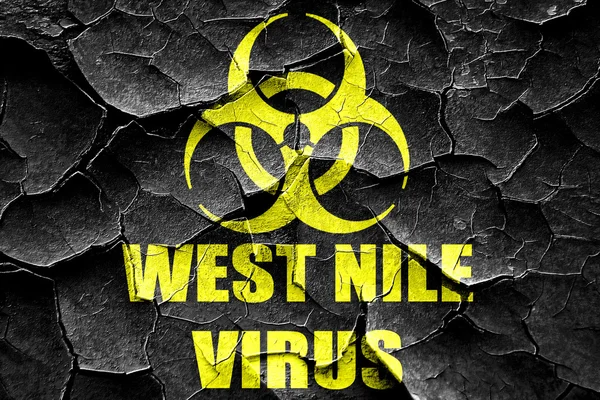 Grunge agrietado fondo concepto de virus del Nilo Occidental —  Fotos de Stock
