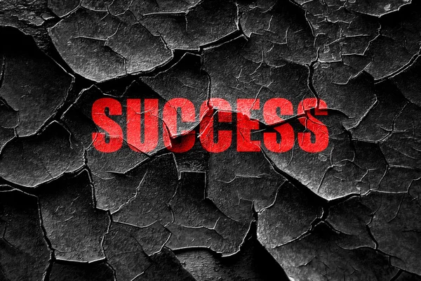 Grunge cracked Success sign with smooth lines — Stock Photo, Image