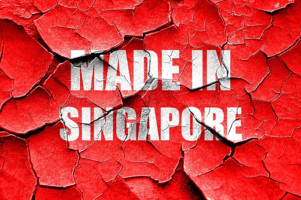 垃圾破解新加坡造 — 图库照片