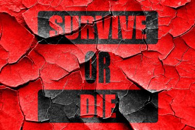 Hayatta kalır ya da öl Grunge kırık
