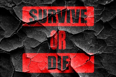 Hayatta kalır ya da öl Grunge kırık