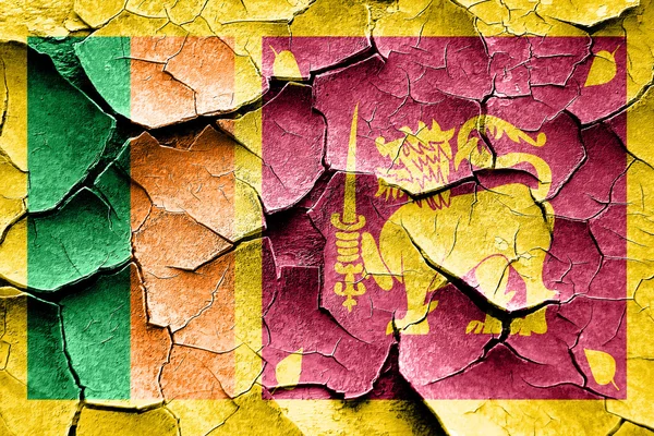 Flaga Sri Lanka nieczysty niektóre pęknięcia i vintage wygląd — Zdjęcie stockowe