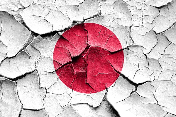 Grunge drapeau du Japon avec quelques fissures et look vintage — Photo