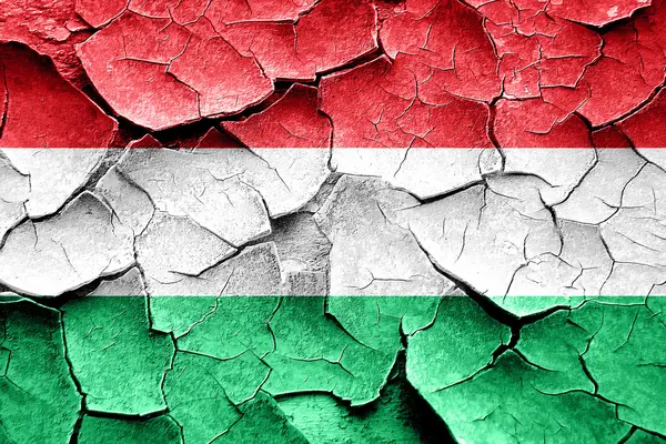 Grunge Macaristan bayrağı bazı çatlaklar ve vintage bir görünüm — Stok fotoğraf