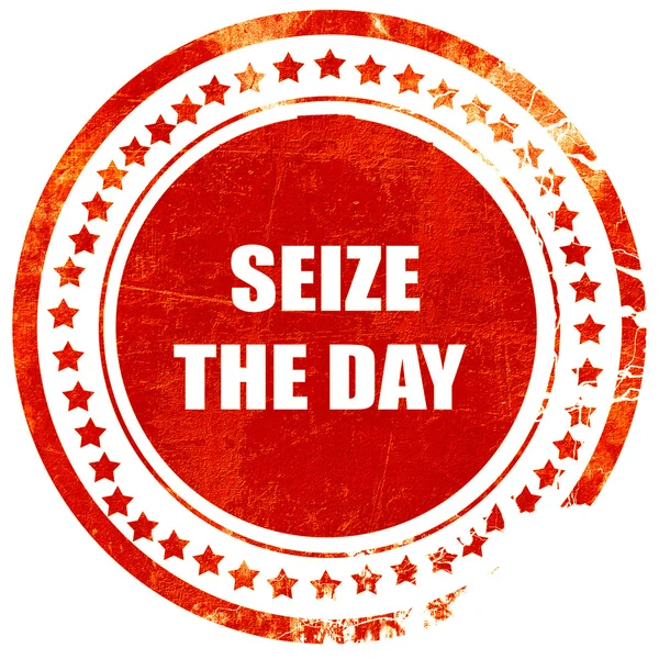 seize the day, grunge red rubber stamp on a solid white backgrou