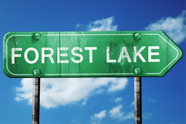 Orman Gölü yol işaret, yıpranmış ve hasarlı bir görünüm