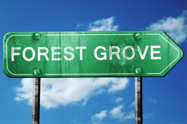 Orman grove yol işaret, yıpranmış ve hasarlı bir görünüm