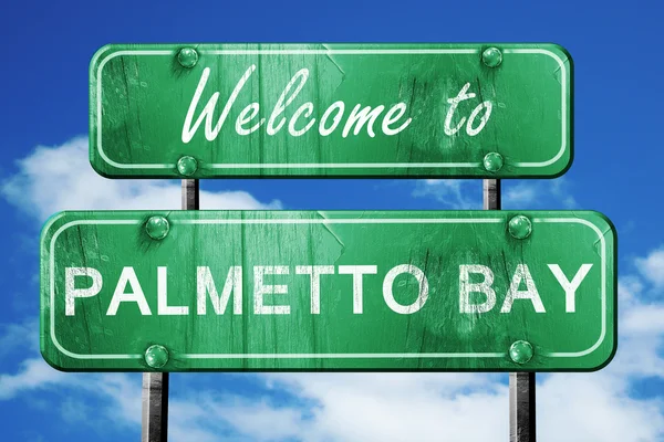 Palmetto bay vintage yeşil yol işareti mavi gökyüzü arka plan ile