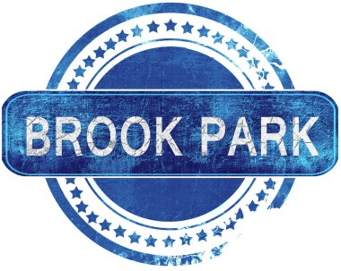 Brook park grunge mavi pul. Beyaz izole.